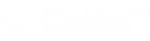 logo catta